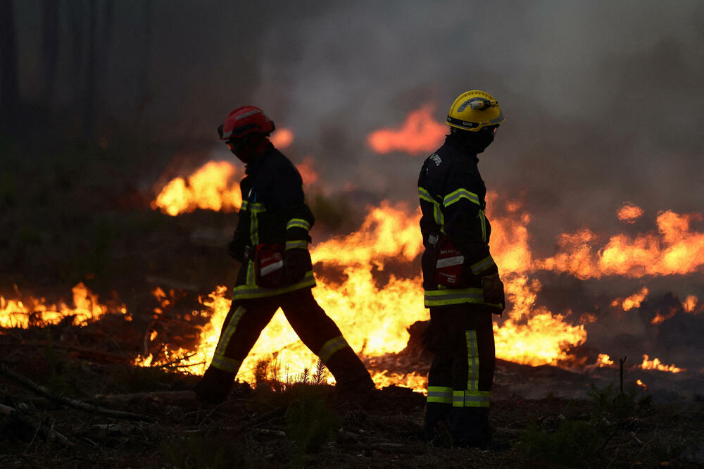 Detalj iz Francuske, Foto: REUTERS