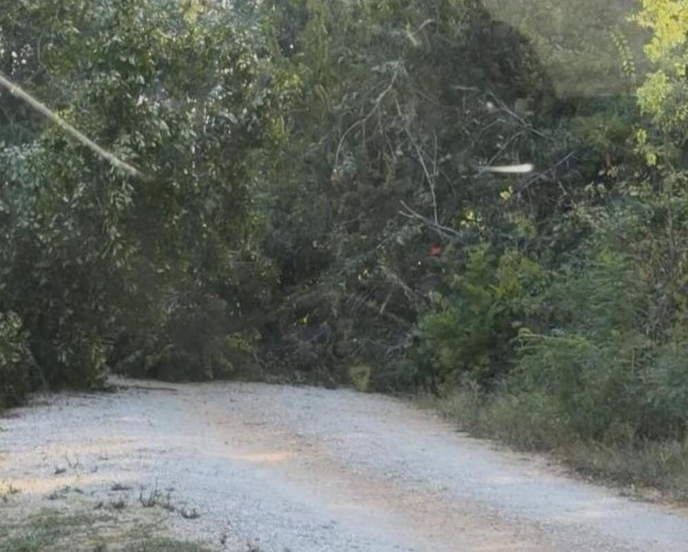 Ulcinj: Plaćaju zakup, ali teško mogu do posjeda