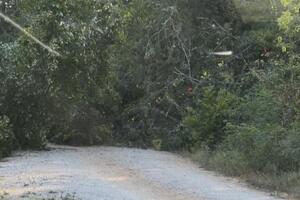 Ulcinj: Plaćaju zakup, ali teško mogu do posjeda