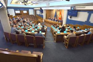 Poslanici usvojili izmjene zakona: Žene dobile pravo na...