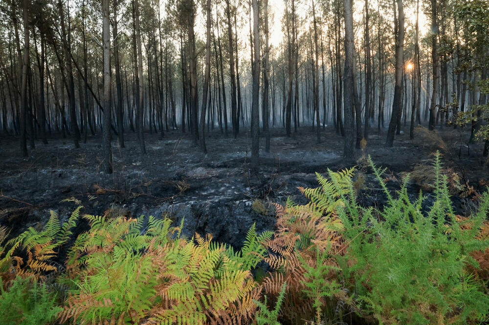 <p>Vlasti su evakuisale oko 220.000 ljudi, među kojima su turisti i lokalno stanovništvo</p>