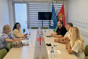 UPCG i MPNI: Institucije moraju snažnije sarađivati, kako bi se...