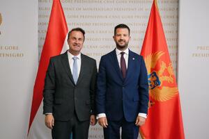 Milatović: Luksemburg je važan saveznik Crne Gore na evropskom putu