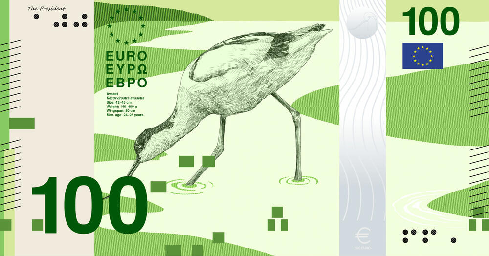 <p>Razmotreno je više od 1.200 prijedloga, a na kraju su se izdvojile dvije glavne teme koje odražavaju identitet kontinenta: evropska kultura i bogatstvo prirode</p>