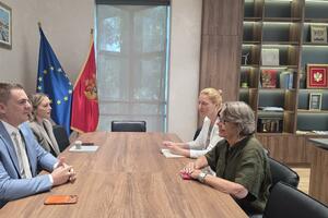Šahmanović: Crna Gora otvorena za nova partnerstva i investicije u...