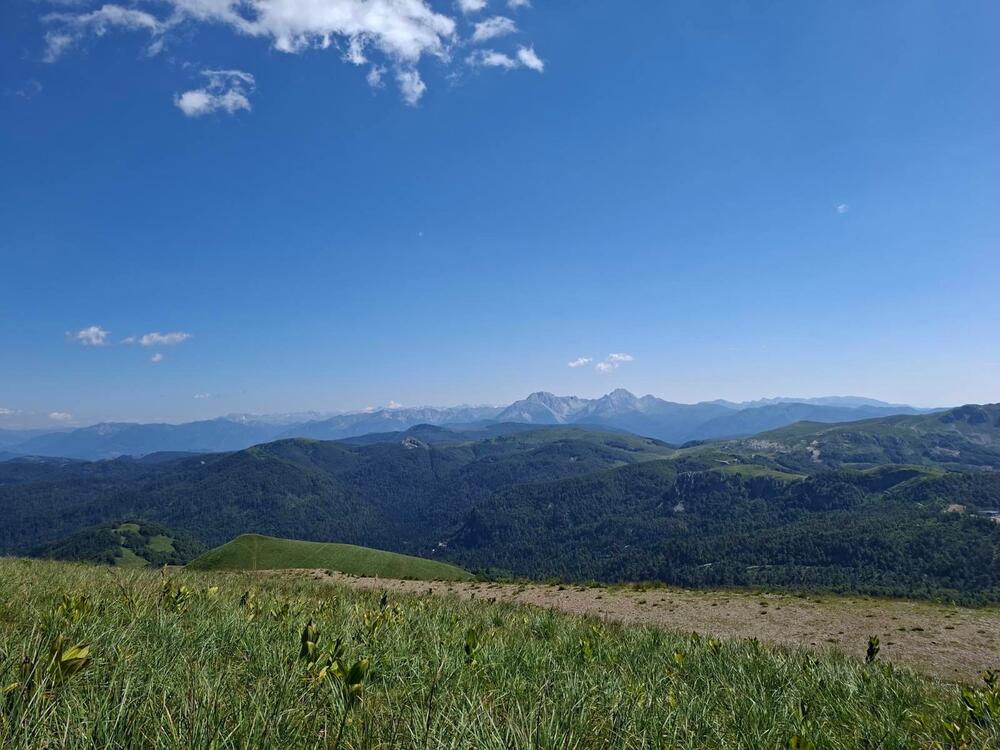Kolašin