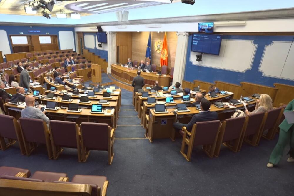Sa sjednice Skupštine, Foto: Screenshot/YouTube/Skuština Crne Gore