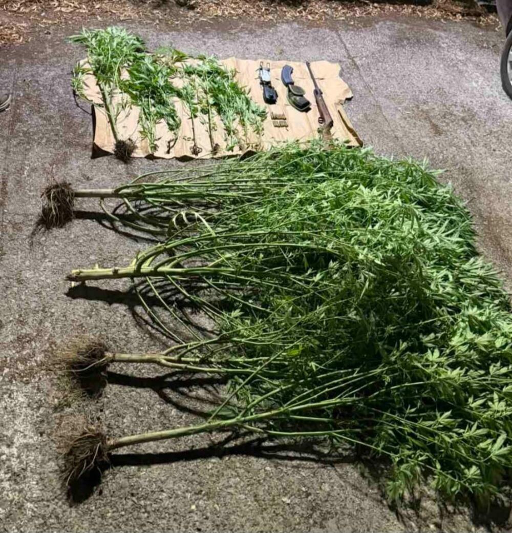 <p>Kod njih su takođe pronađeni vazdušna puška i municija, kao i djelovi oružja, te dron za nadzor posjeda i okoline i predmeti koji se koriste za vaganje i pakovanje droge, saopšteno je iz Uprave policije</p>