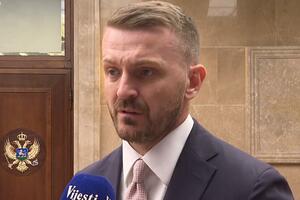 Ministarstvo će se izjasniti o Deliću kad razmotre propise