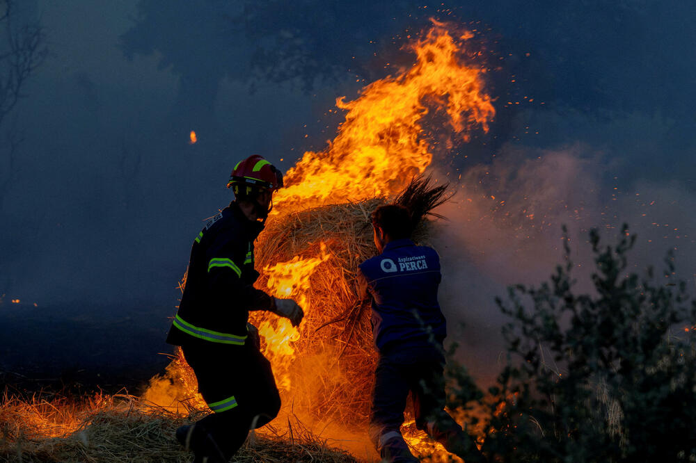Borba sa stihijom u španskoj pokrajini Zamora, Foto: Rojters