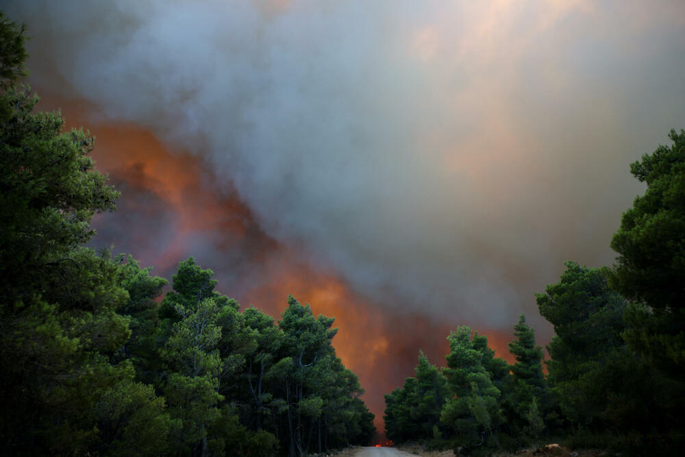 <p>Požari, podstaknuti olujnim vjetrovima, rasplamsali su se širom Grčke, koja je do posljednjih dana imala manje toplotnih talasa i relativno mirnu sezonu požara</p>