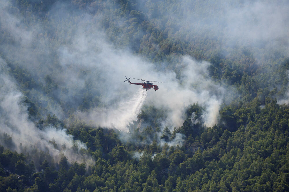 <p>Preliminarna istraga ukazuje da je požar koji je prošle sedmice izbio u oblasti Beotije, sjeverozapadno od Atine, a zatim se proširio na gustu borovu šumu u blizini glavnog grada, izazvan varnicama sa provodnika koji su vibrirali na privatnom dalekovodu za prenos električne energije iz vjetroelektrana, saopštila je grčka vatrogasna služba</p>