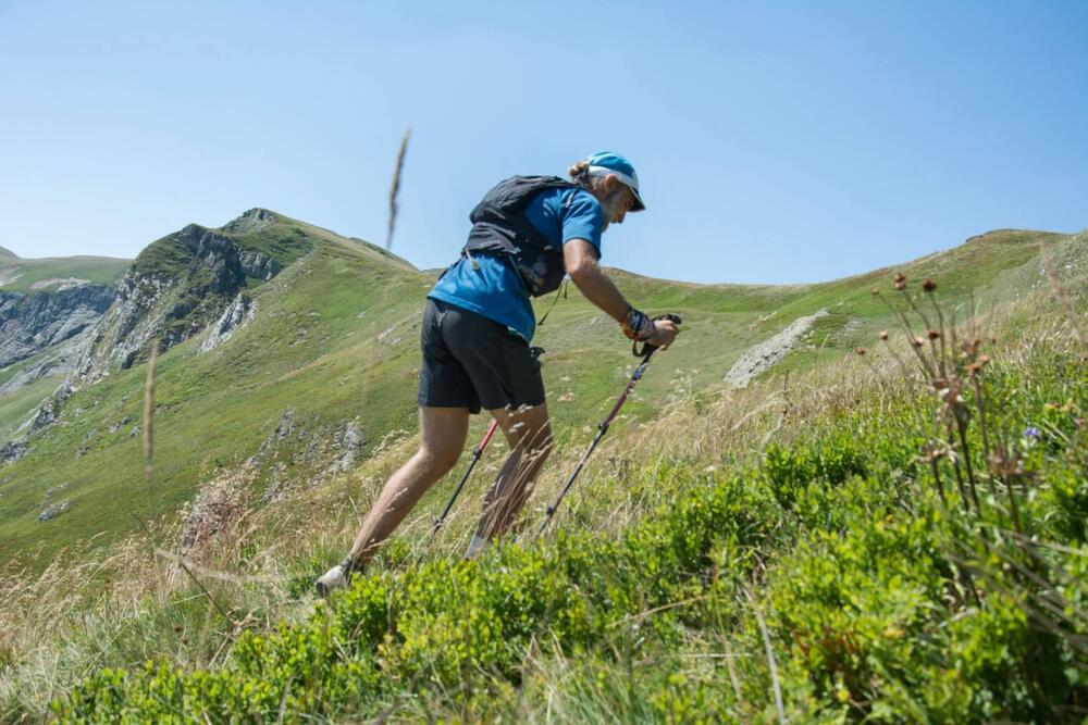 <p>Bjelasica Trail tradicionalno okuplja najbolje crnogorske, ali i najbolje trkače regiona &ndash; ljude koji dolaze da obaraju rekorde staze i podižu nivo cijele trke. Njihovo prisustvo, objašnjavaju organizatori, pokazuje da se na Bjelasici ozbiljno trči i da rezultat ostvaren na toj planini ima posebnu težinu</p>