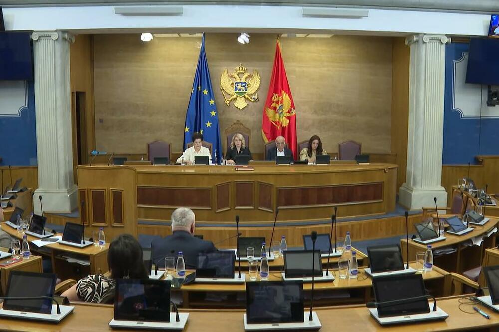 Foto: Screenshot/TV Vijesti