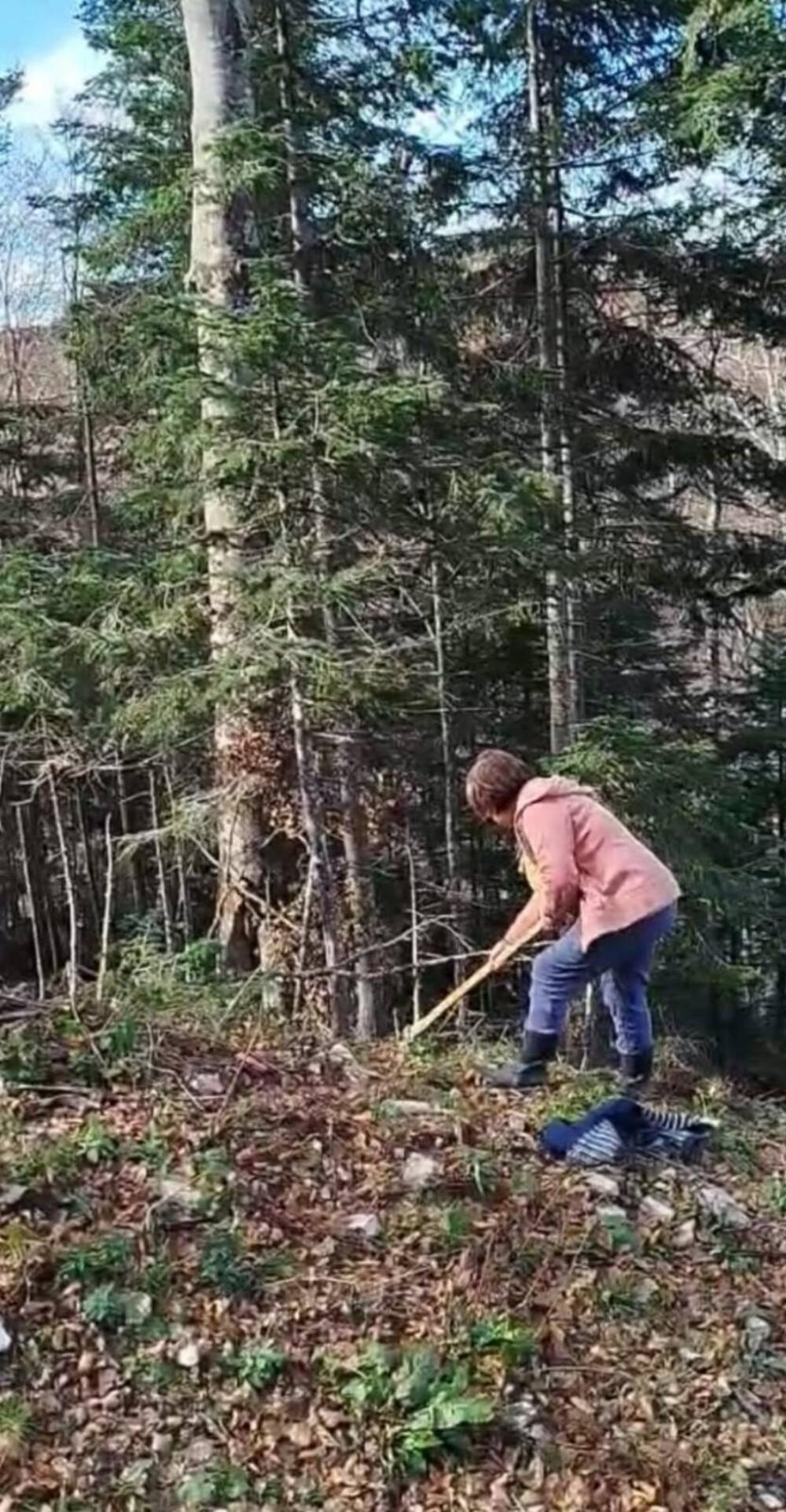 Stanojka Joksimović