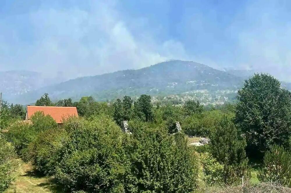 Foto: SZS Cetinje