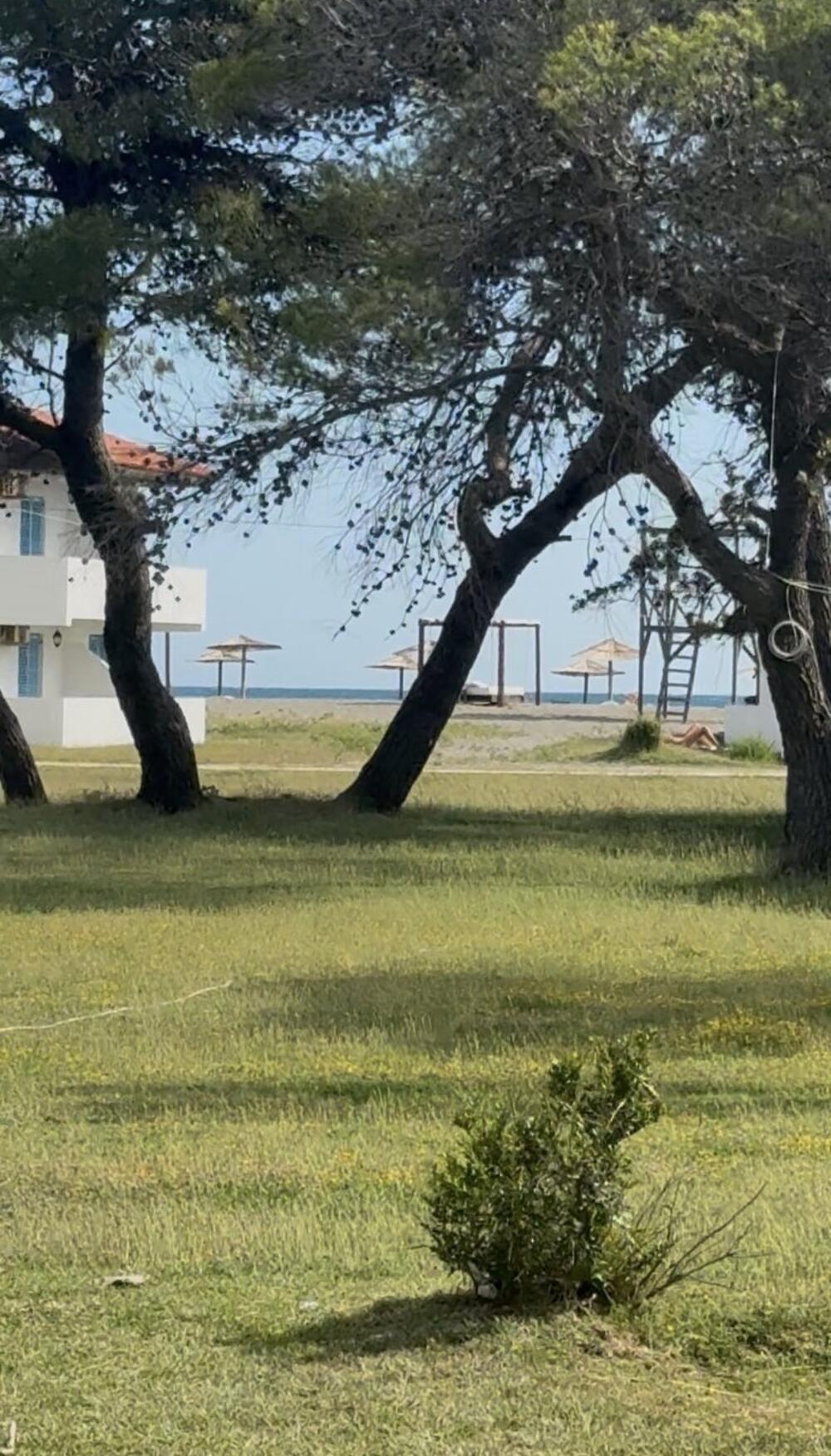 <p>Ova sezona kada su u pitanju prihodi u odnosu na prošlu bolja već za oko 23 odsto, a do kraja očekuje se i više. U odnosu na prošlu godinu u naselju obogaćena turistička ponuda</p>
