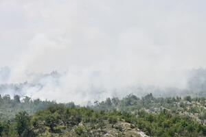 Ćećanović: Situacija u Katunskoj nahiji trenutno povoljnija,...
