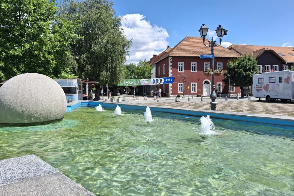 Foto: Dragana Šćepanović