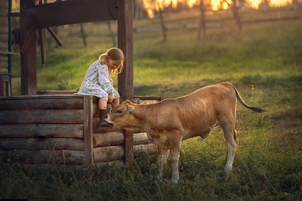 Foto: Shutterstock
