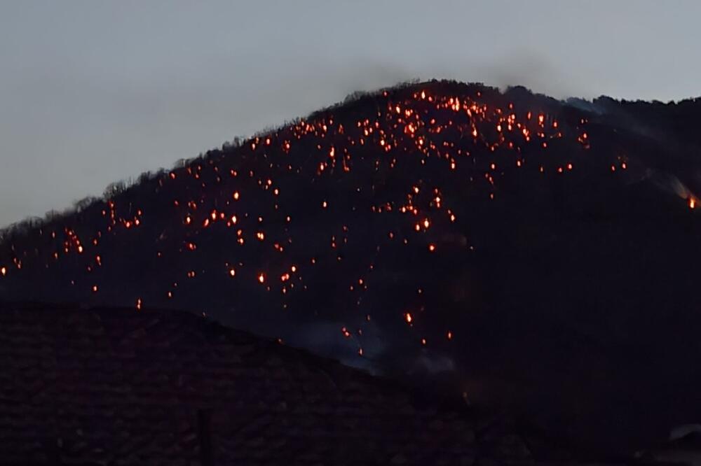 Požar kod Herceg Novog, Foto: Privatna arhiva