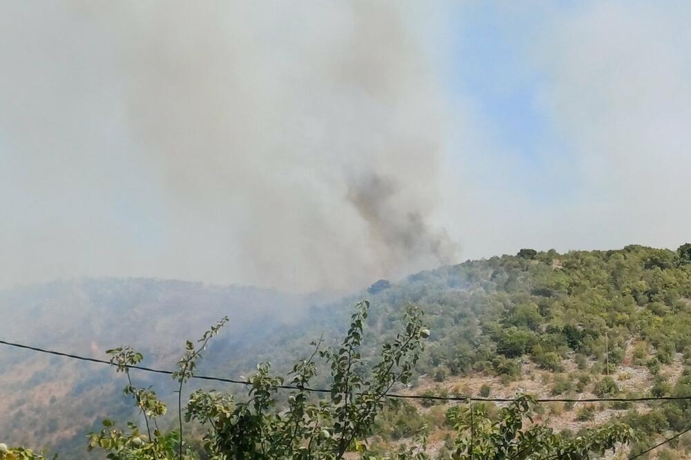 Foto: Privatna arhiva