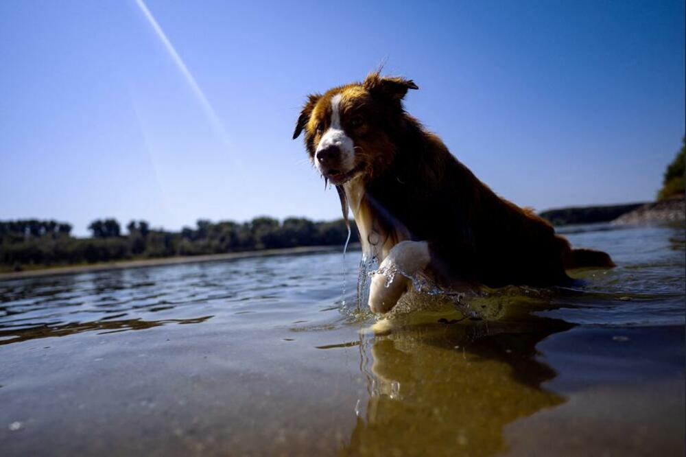 Foto: Reuters