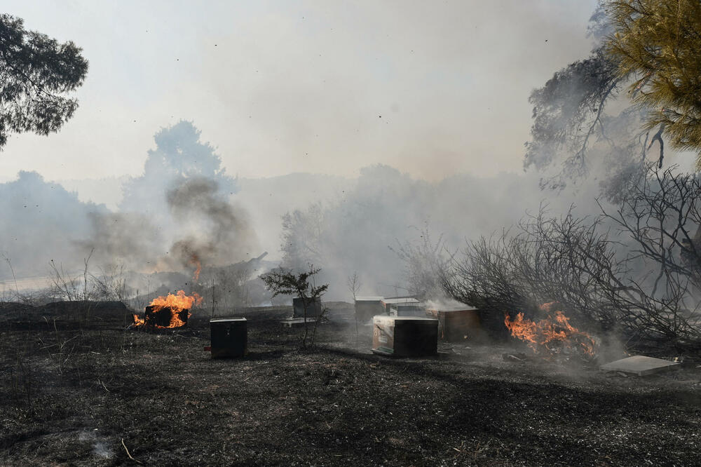 Foto: REUTERS