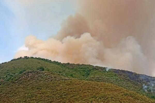 MUP: The most critical situation above Đenovići and in Ulcinj, activated...