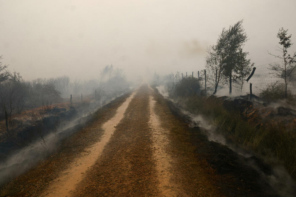 <p>Požar je više nego dvostruko veći od onog iz 2011. godine, kada je izgorjelo gotovo 1.400 hektara, pokazuju podaci Evropskog informacionog sistema za šumske požare</p>