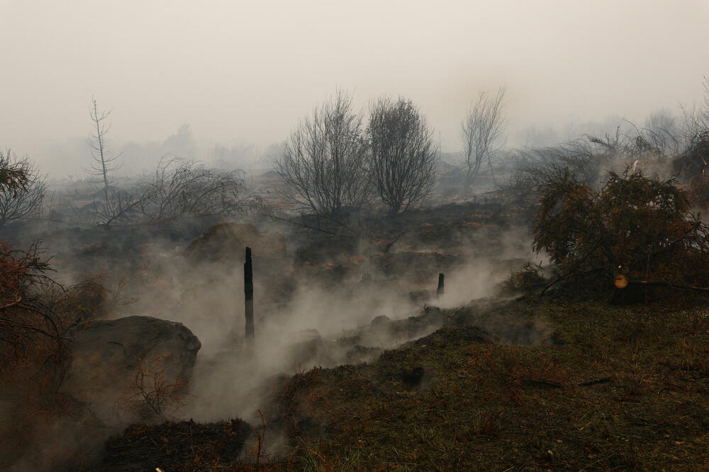 <p>Požar je više nego dvostruko veći od onog iz 2011. godine, kada je izgorjelo gotovo 1.400 hektara, pokazuju podaci Evropskog informacionog sistema za šumske požare</p>