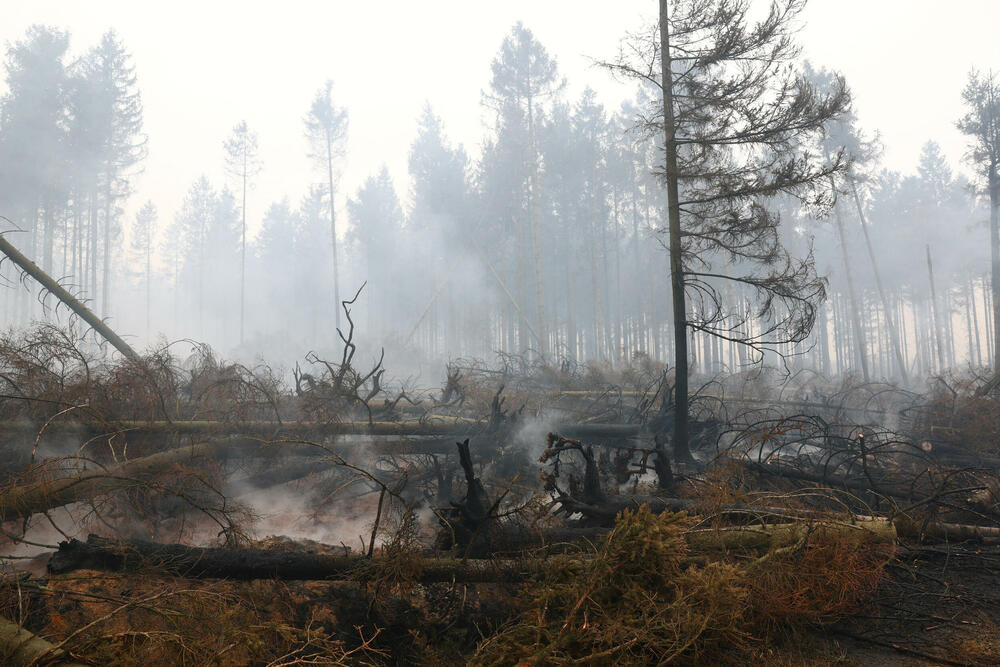 <p>Požar je više nego dvostruko veći od onog iz 2011. godine, kada je izgorjelo gotovo 1.400 hektara, pokazuju podaci Evropskog informacionog sistema za šumske požare</p>