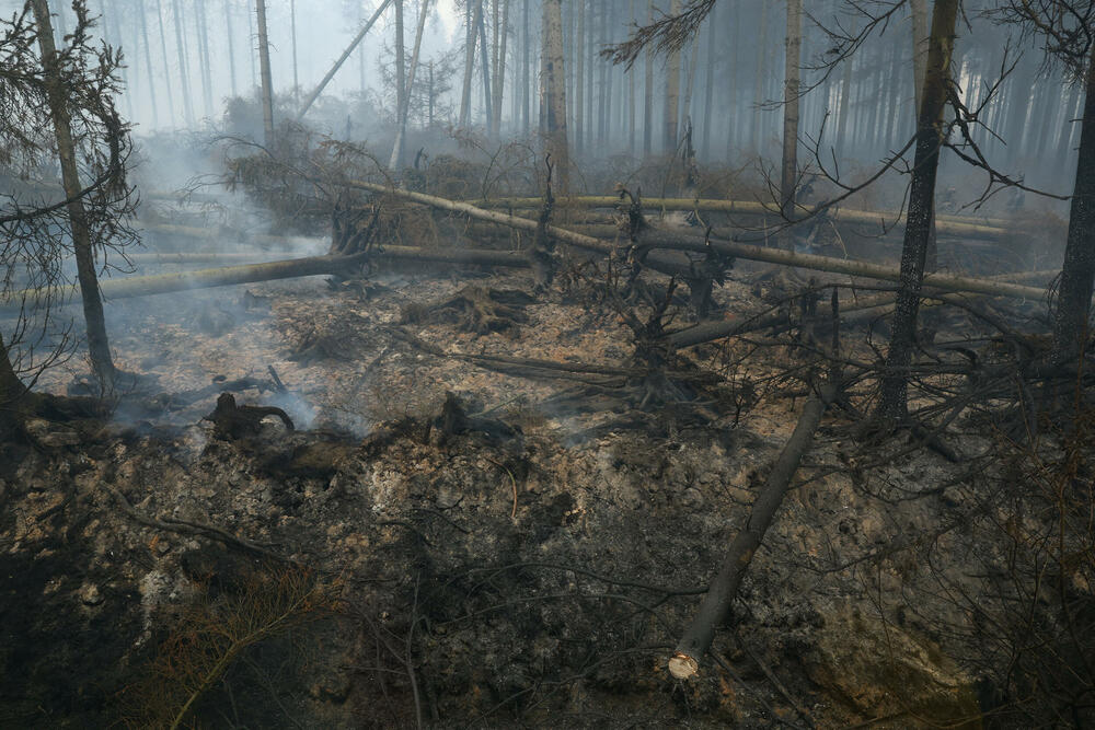 <p>Požar je više nego dvostruko veći od onog iz 2011. godine, kada je izgorjelo gotovo 1.400 hektara, pokazuju podaci Evropskog informacionog sistema za šumske požare</p>