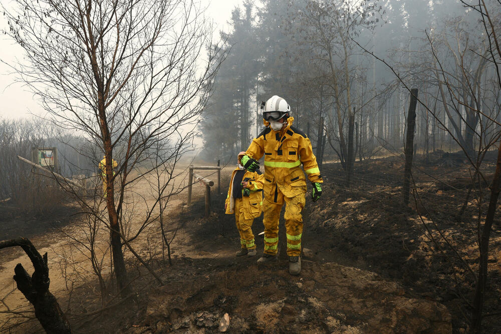 <p>Požar je više nego dvostruko veći od onog iz 2011. godine, kada je izgorjelo gotovo 1.400 hektara, pokazuju podaci Evropskog informacionog sistema za šumske požare</p>