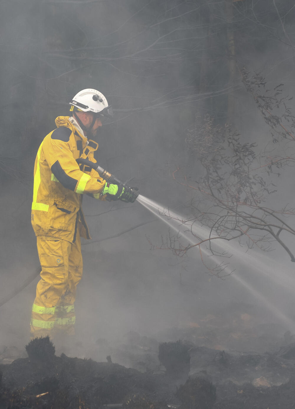 <p>Šumski požari zahvatili su Evropu ovog ljeta nakon uzastopnih snažnih toplotnih talasa, podstaknutih klimatskim promjenama, koji su pojačali sušu i ostavili vegetaciju izuzetno suvom i lako zapaljivom. Požari su ove godine u Evropi zahvatili 576.000 hektara, pokazali su podaci Evropskog informacionog sistema za šumske požare (EFFIS) &ndash; površinu dvostruko veću od Luksemburga</p>
