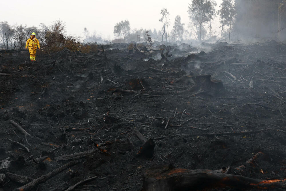 <p>Šumski požari zahvatili su Evropu ovog ljeta nakon uzastopnih snažnih toplotnih talasa, podstaknutih klimatskim promjenama, koji su pojačali sušu i ostavili vegetaciju izuzetno suvom i lako zapaljivom. Požari su ove godine u Evropi zahvatili 576.000 hektara, pokazali su podaci Evropskog informacionog sistema za šumske požare (EFFIS) &ndash; površinu dvostruko veću od Luksemburga</p>