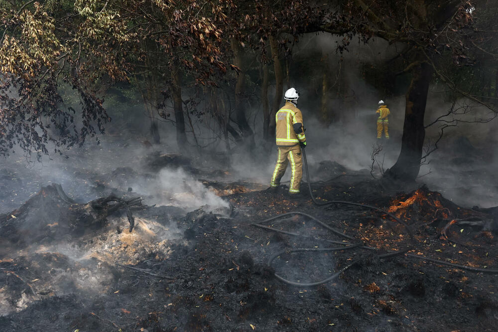 Detalj iz Belgije, Foto: Reuters