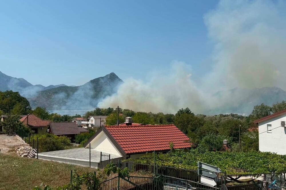 Foto: Društvene mreže