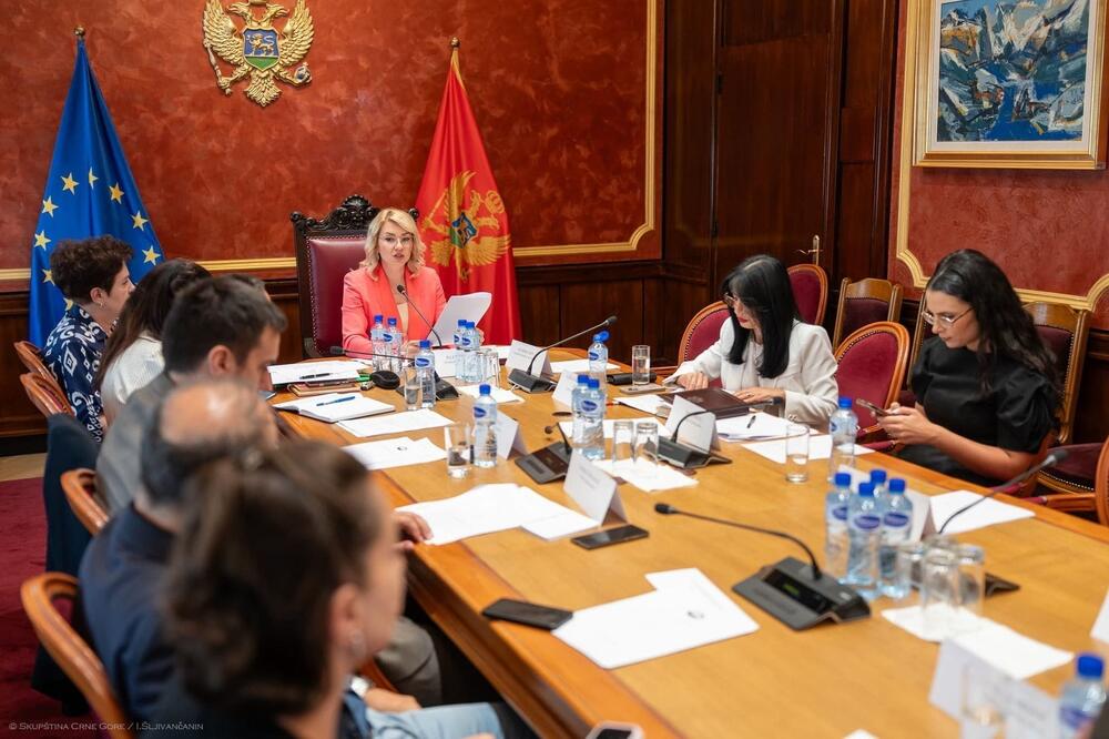 Poslanici saglasni da je sve moglo drugačije, ali...: s jučerašnje sjednice Ustavnog odbora, Foto: Skupština Crne Gore