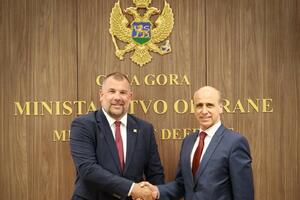 Krapović upoznao novog ambasadora Njemačke sa odbrambenim...
