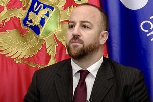 Nikolić: Diplomatija nije partijski plijen