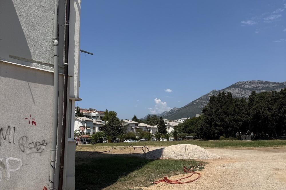 Jedva vidljivo zelenilo na zelenoj površini, Foto: Privatna arhiva