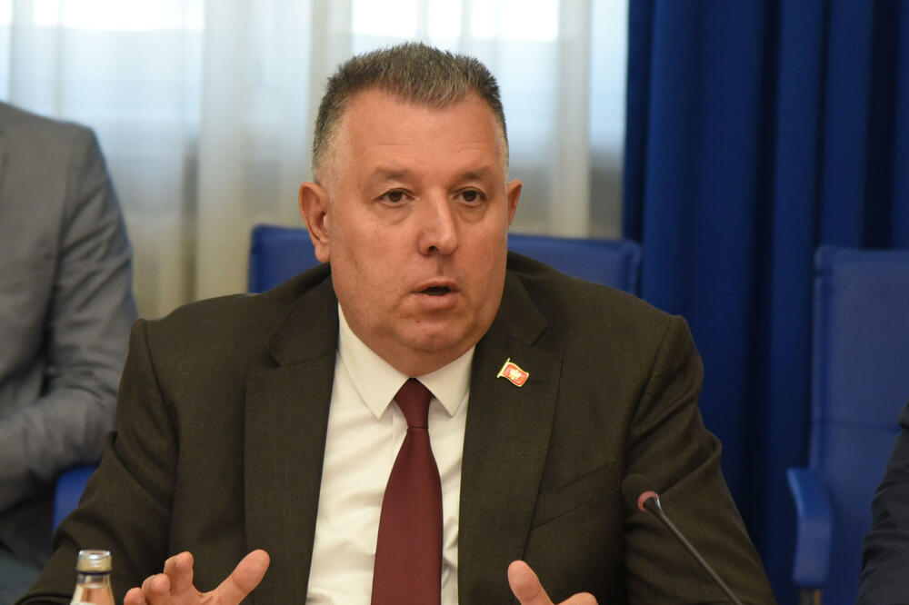 Prijavio neto godišnji prihod od 82.912 eura: Miljanić, Foto: Luka Zeković