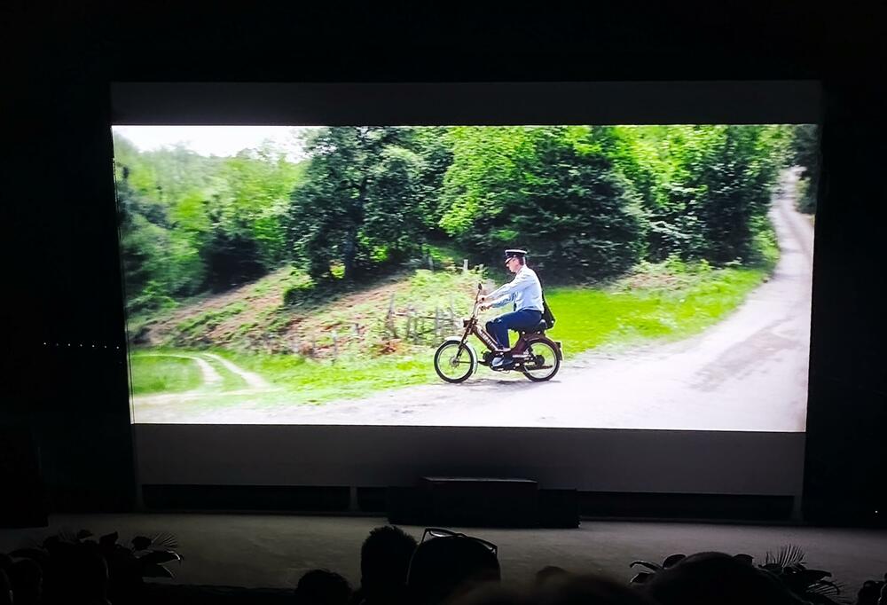 Dom, Film Dom