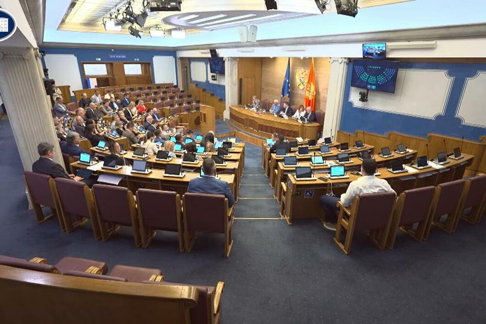 Sa  sjednice, Foto: Screenshot/YouTube/Skuština Crne Gore