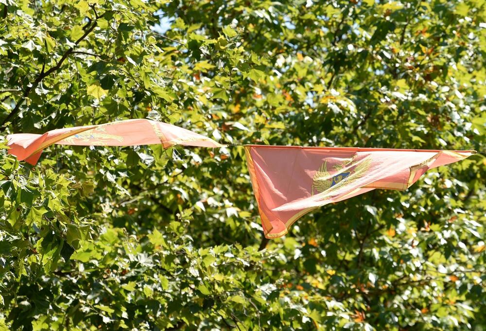 <p>Zastave postavljene uoči Dana nezavisnosti ostaju na stubovima javne rasvjete gotovo dva mjeseca, na udaru sunca, vjetra i kiše</p>  <p>Ove godine za nabavku oko 3.500 komada potrošeno blizu 10.000 eura Sagovornici &ldquo;Vijesti&rdquo; smatraju da treba racionalnije upravljati javnom imovinom</p>