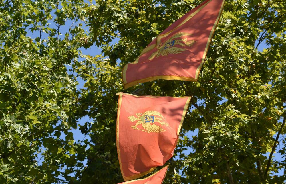 <p>Zastave postavljene uoči Dana nezavisnosti ostaju na stubovima javne rasvjete gotovo dva mjeseca, na udaru sunca, vjetra i kiše</p>  <p>Ove godine za nabavku oko 3.500 komada potrošeno blizu 10.000 eura Sagovornici &ldquo;Vijesti&rdquo; smatraju da treba racionalnije upravljati javnom imovinom</p>