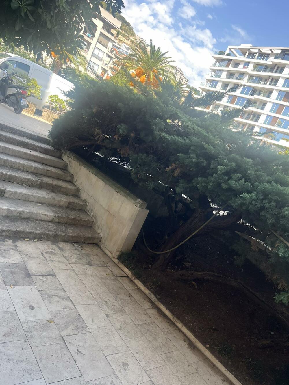 paketi Budva