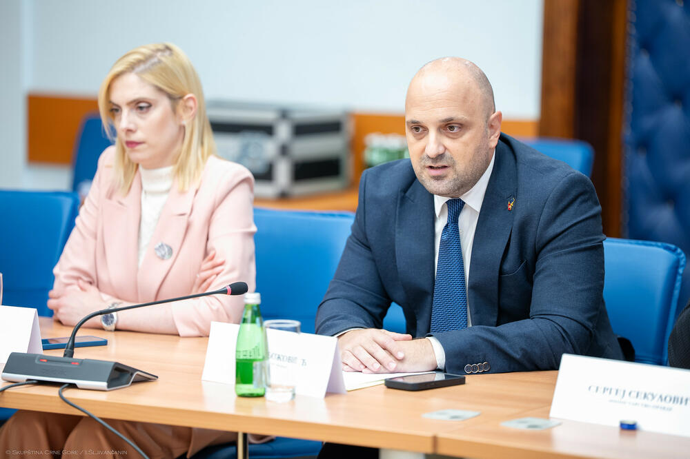 Božović na sjednici odbora, Foto: Skupština Crne Gore/Igor Šljivančanin