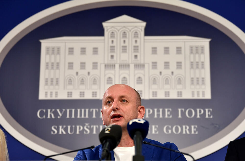Milan Knežević